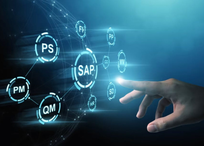 SAP Danışmanlık